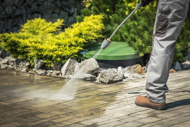 Best Boat and Dock Cleaning  in Warren, PA