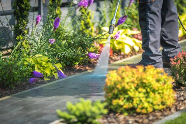 Best Gutter Cleaning  in Warren, PA